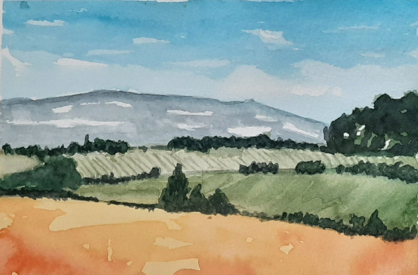 A painting I did from Amy Stewart's Mixed Media Landscape